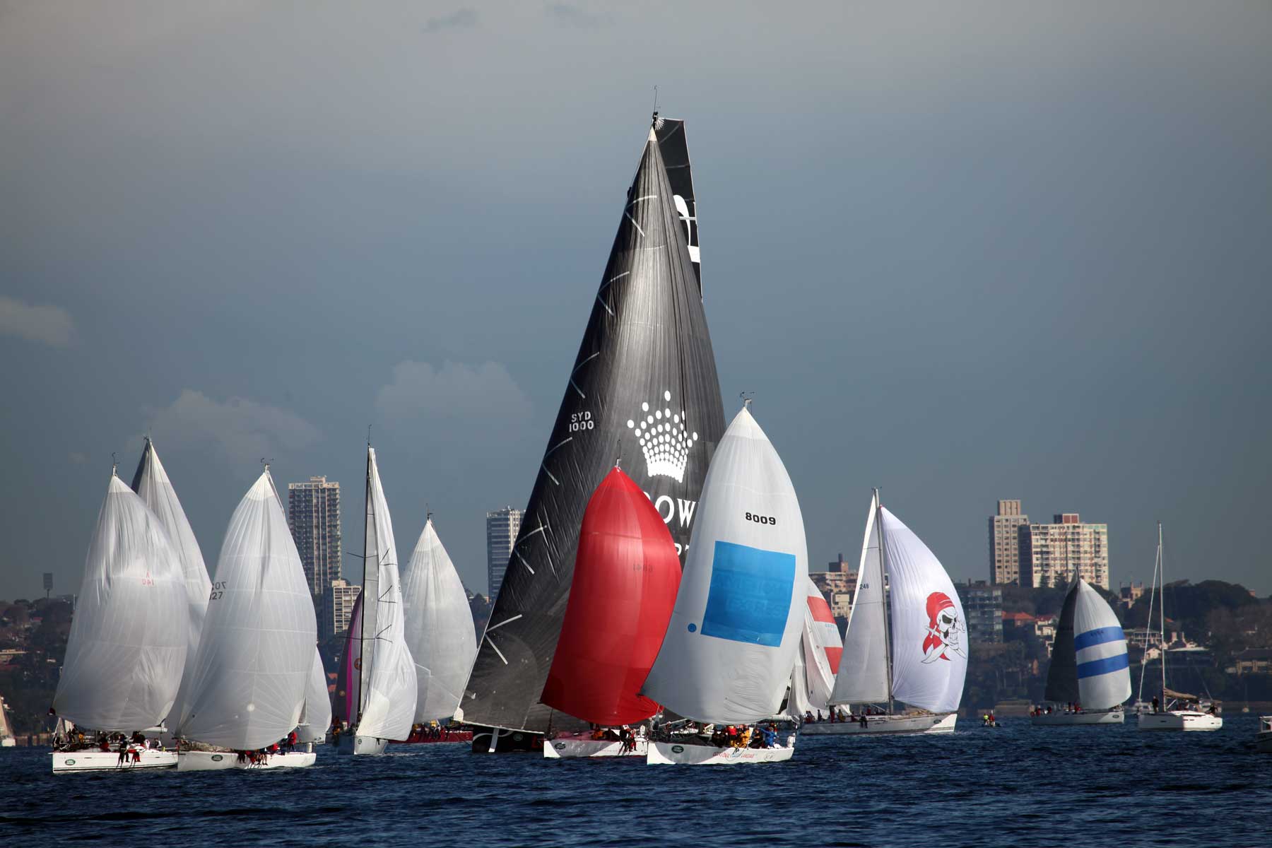 Sailing regatta aboard The Count